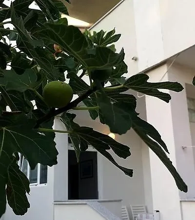 Apartment Milivoj Tribunj (Sibenik-Knin)
